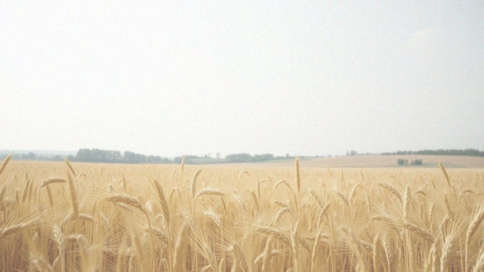 Jakie są warunki wiatrowe na sobotę?
